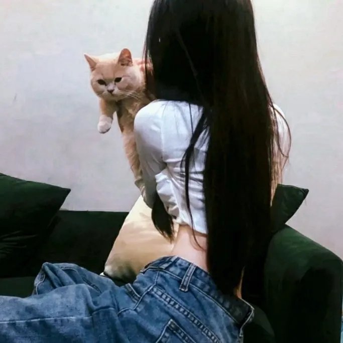 黑暗迷球